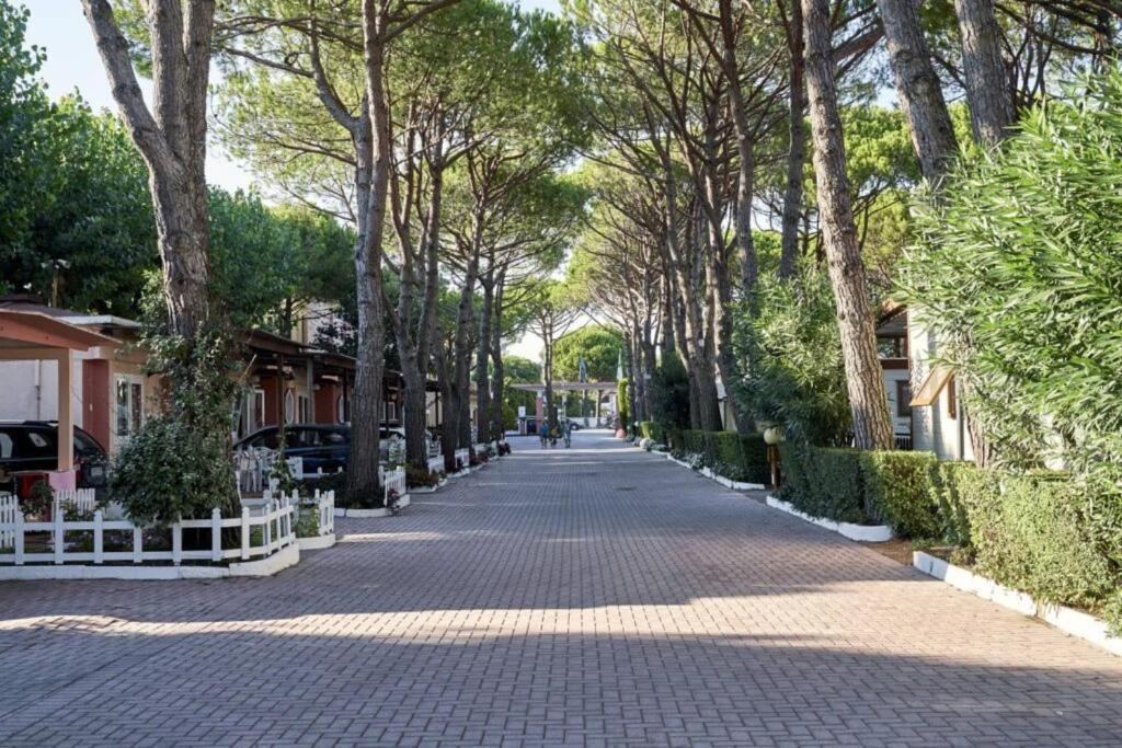 Village Joker Vakantiepark 4*